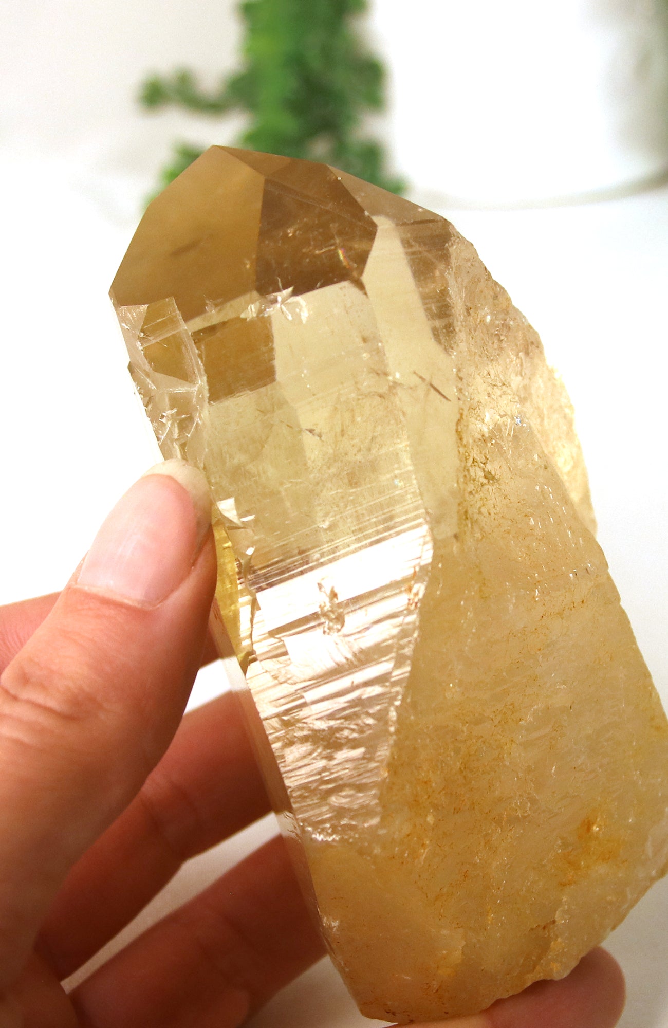 Citrine (Natural) Cathedral Point AAA